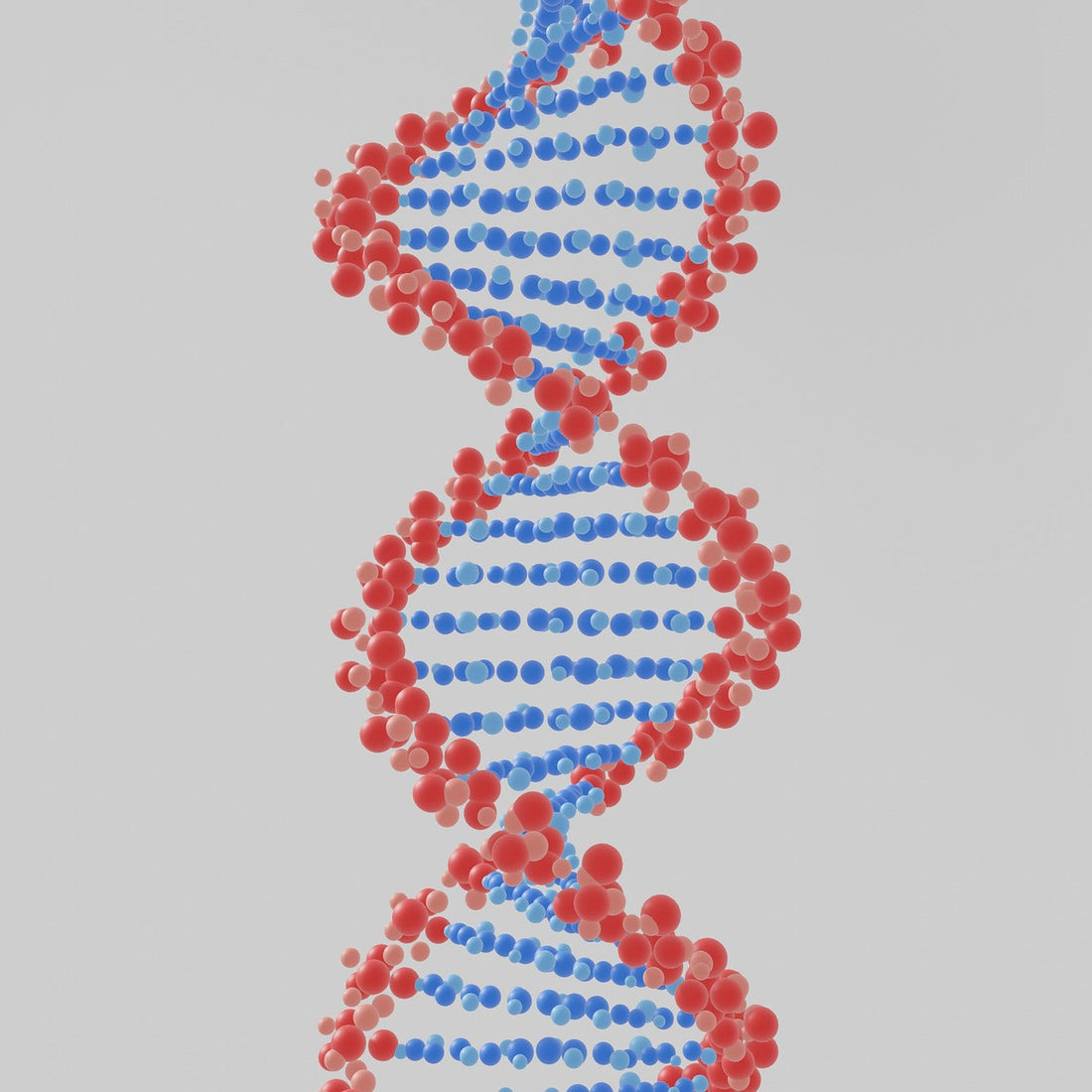 Telomere Health, Simplified: Fewer Rules, Bigger Results